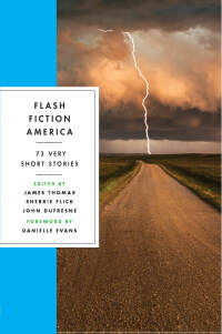 Cover image: Flash Fiction America: 73 Very Short Stories 9780393358056