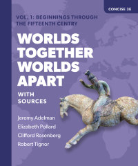 Imagen de portada: Worlds Together, Worlds Apart: A History of the World from the Beginnings of Humankind to the Present (Concise Edition)  (Volume1) 3rd edition 9780393532036