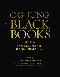 Cover image: The Black Books (Slipcased Edition)  (Vol. Seven-Volume Set) 9780393088649
