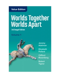 Cover image: Worlds Together, Worlds Apart (Seagull Edition, Volume 1) 3rd edition 9780393442861