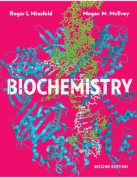 Cover image: Biochemistry 2nd edition 9780393533507