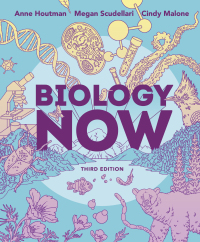 Cover image: Biology Now 3rd edition 9780393533750