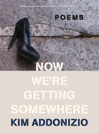 Titelbild: Now We're Getting Somewhere: Poems 9781324021940