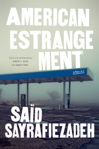 Cover image: American Estrangement: Stories 9781324050483