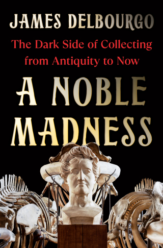 Cover image: A Noble Madness 1st edition 9780393541960