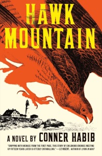 Cover image: Hawk Mountain: A Novel 9780393542172