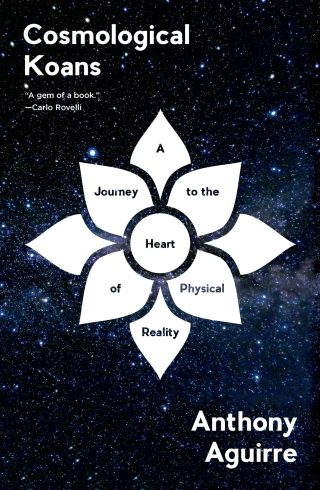 Imagen de portada: Cosmological Koans: A Journey to the Heart of Physical Reality 9780393358315