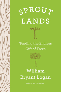 Titelbild: Sprout Lands: Tending the Endless Gift of Trees 9780393358148