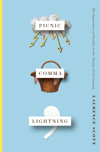 Cover image: Picnic Comma Lightning: The Experience of Reality in the Twenty-First Century 9780393609974