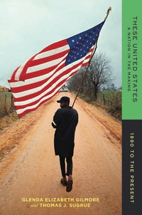 Cover image: These United States: A Nation in the Making: 1890 to the Present 1st edition 9780393264463