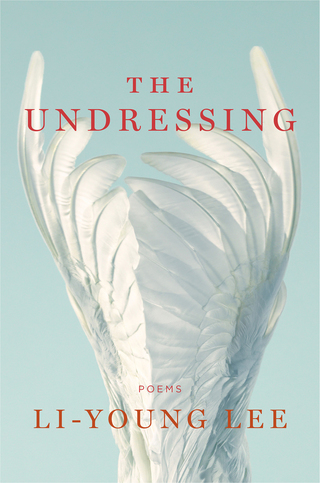 Cover image: The Undressing 9780393357875