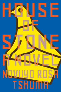 Cover image: House of Stone: A Novel 9780393357684