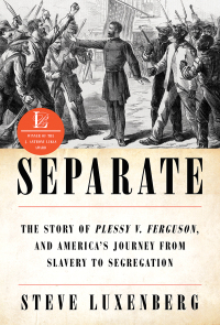 Cover image: Separate: The Story of Plessy v. Ferguson, and America's Journey from Slavery to Segregation 9780393357691