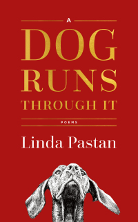 Imagen de portada: A Dog Runs Through It: Poems 9780393651300