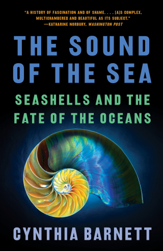 Cover image: The Sound of the Sea 9781324022077