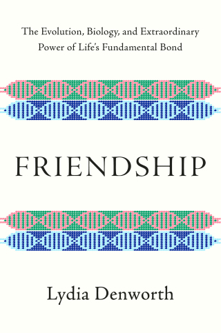Cover image: Friendship: The Evolution, Biology, and Extraordinary Power of Life's Fundamental Bond 9780393541502