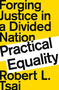 Omslagafbeelding: Practical Equality: Forging Justice in a Divided Nation 9780393358551