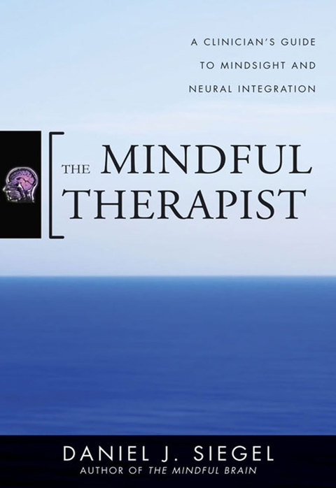 The Mindful Therapist: A Clinician's Guide to Mindsight and Neural Integration (Norton Series on Interpersonal Neurobiology) - FULL INSTANT DOWNLOAD | PDF DOCX EPUB