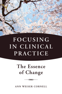 Omslagafbeelding: Focusing in Clinical Practice: The Essence of Change 9780393707601