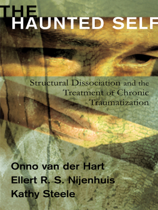 Cover image: The Haunted Self 9780393704013