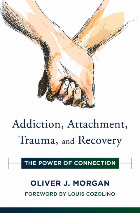Addiction, Attachment, Trauma and Recovery: The Power of Connection (Norton Series on Interpersonal Neurobiology) - FULL INSTANT DOWNLOAD | PDF DOCX EPUB