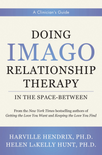 Imagen de portada: Doing Imago Relationship Therapy in the Space-Between: A Clinician's Guide 9780393713817