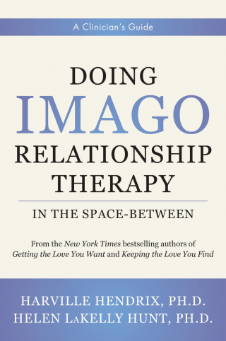 Cover image: Doing Imago Relationship Therapy in the Space-Between: A Clinician's Guide 9780393713817