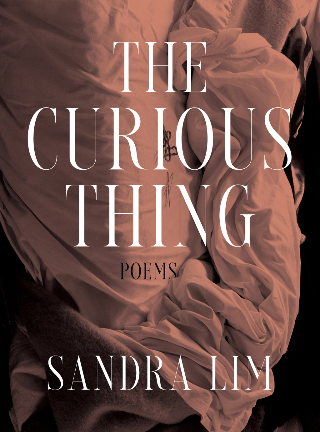 The Curious Thing eBook