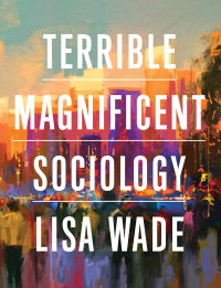 Immagine di copertina: Terrible Magnificent Sociology 1st edition 9780393876970