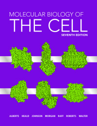 Cover image: Molecular Biology of the Cell 7th edition 9780393884821