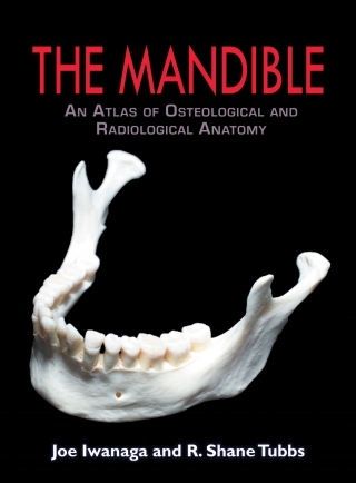 Cover image: The Mandible 1st edition 9780398093785