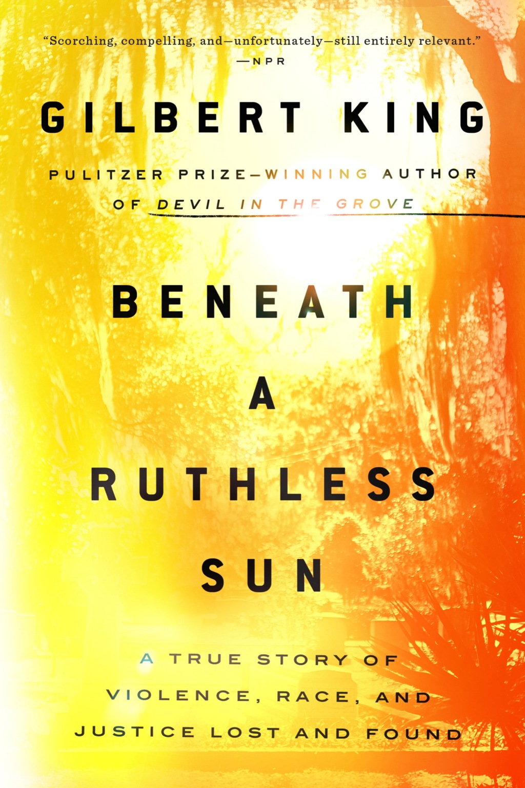 Beneath a Ruthless Sun A True Story of Violence, Race, and Justice Lost and Found