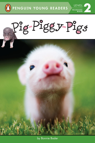 Cover image: Pig-Piggy-Pigs 9780448482217