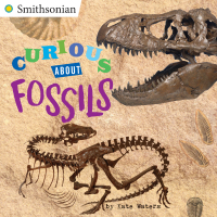 Cover image: Curious About Fossils 9780448490199