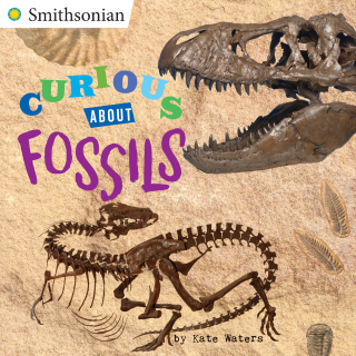 Cover image: Curious About Fossils 9780448490199