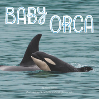 Cover image: Baby Orca 9780448488394