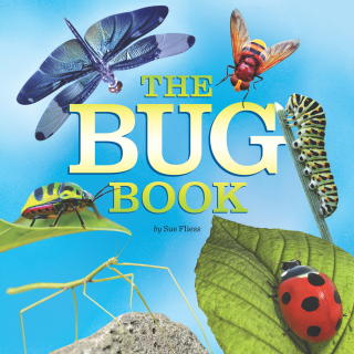 Cover image: The Bug Book 9780448489353
