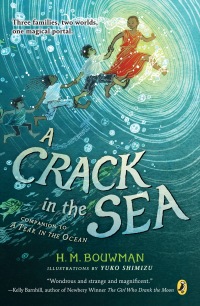 Cover image: A Crack in the Sea 9780399545214