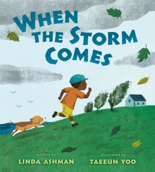 Cover image: When the Storm Comes 9780399546099