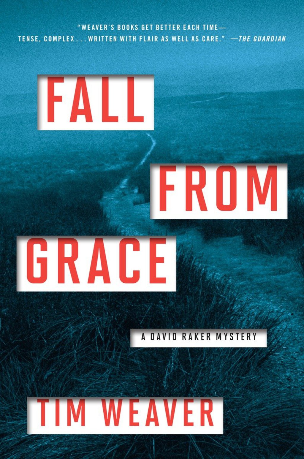 Fall from Grace A David Raker Mystery