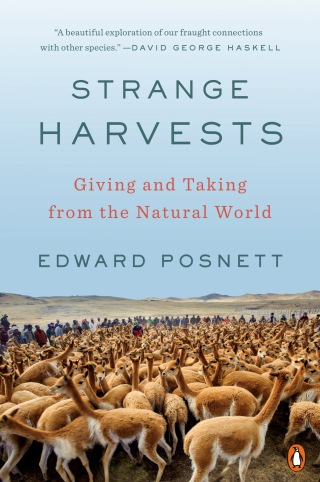 Cover image: Strange Harvests 9780399562792