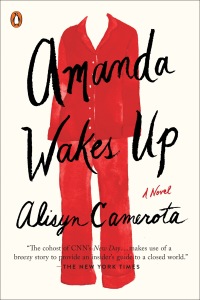 Cover image: Amanda Wakes Up 9780399564000