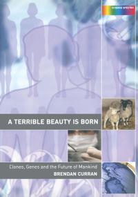 Titelbild: A Terrible Beauty is Born 1st edition 9780415287098