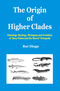 Omslagafbeelding: The Origin of Higher Clades 1st edition 9781578085309