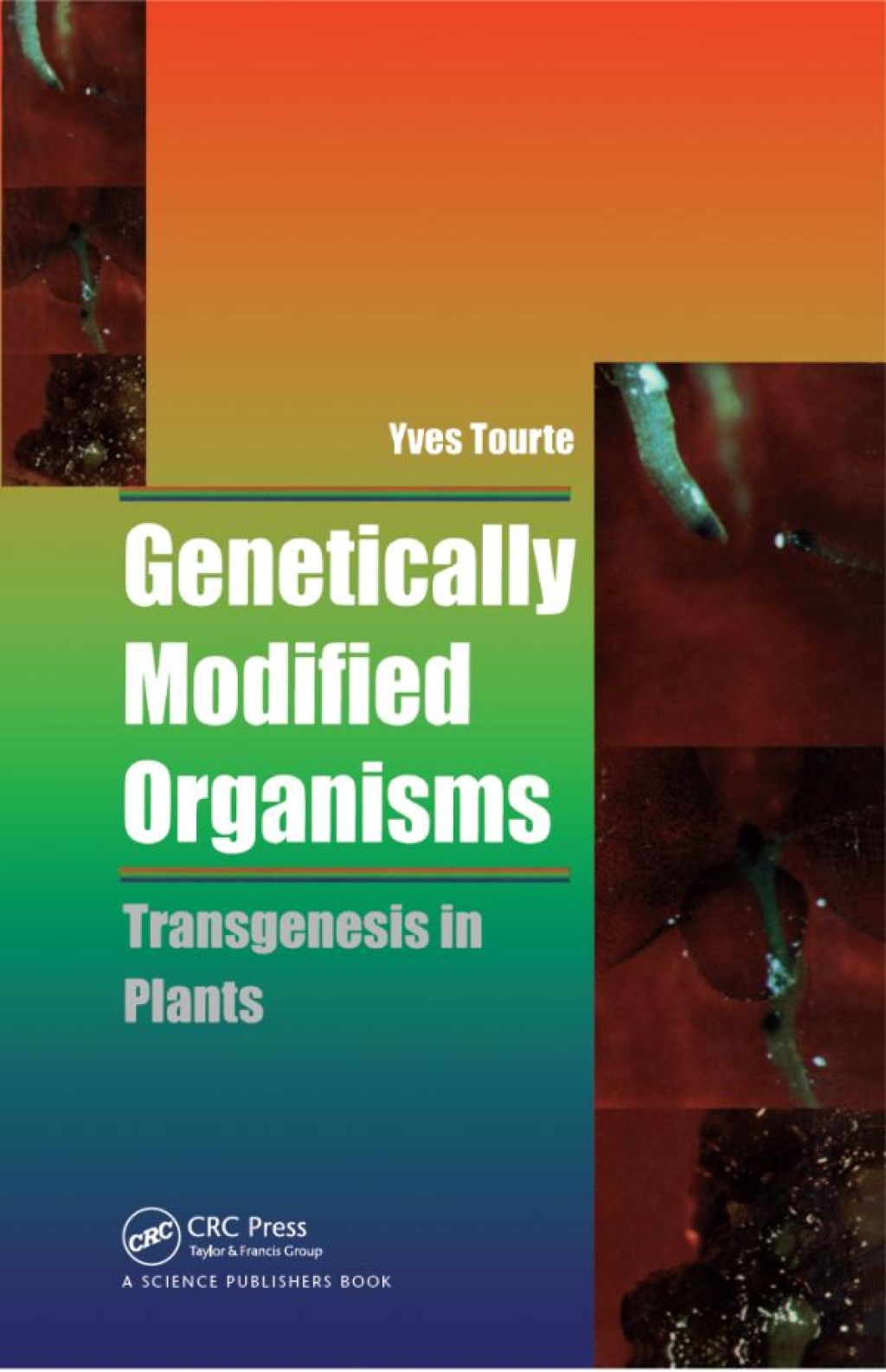 Genetically Modified Organisms Transgenesis in Plants 1st Edition