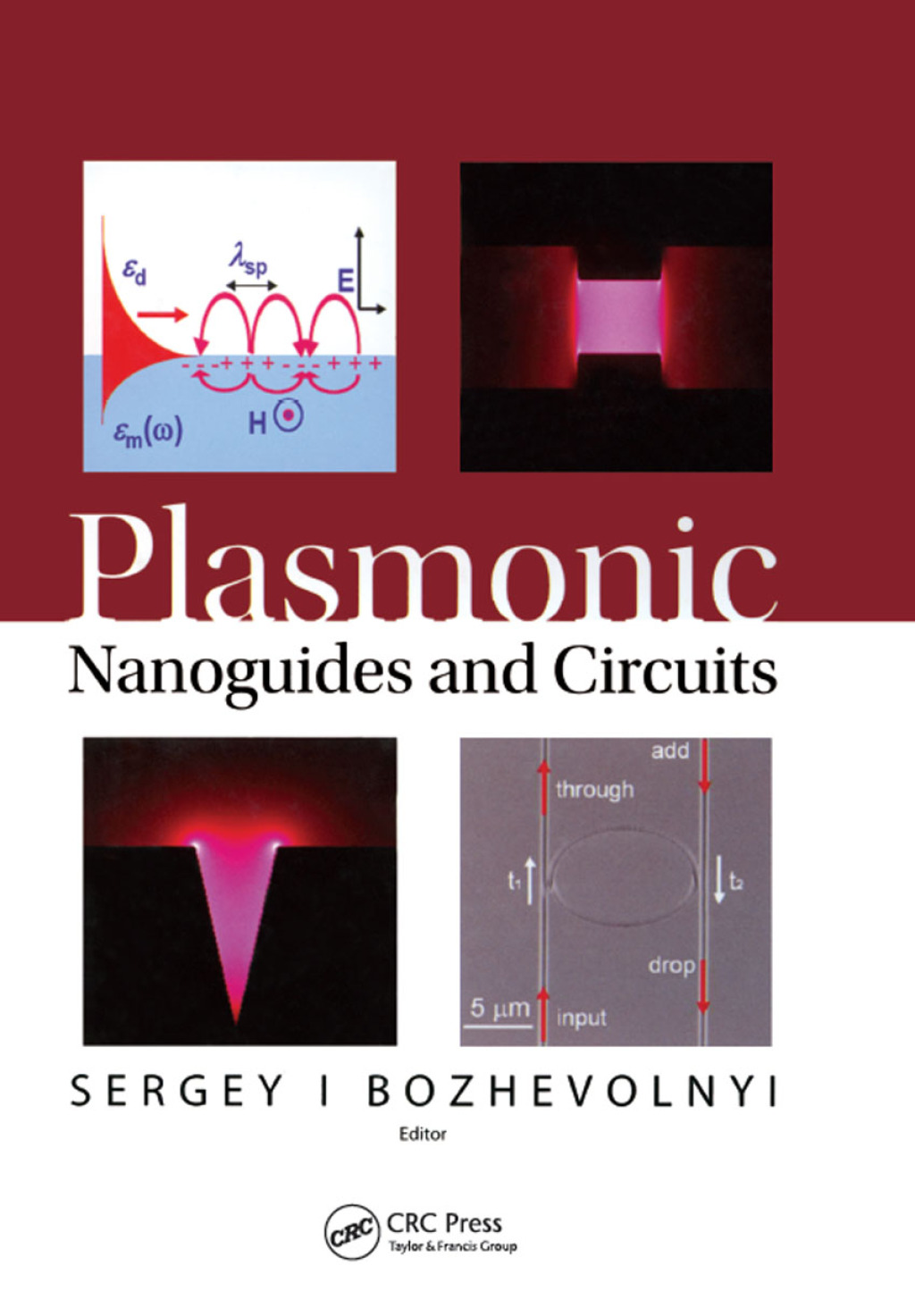 Plasmonic Nanoguides and Circuits 1st Edition