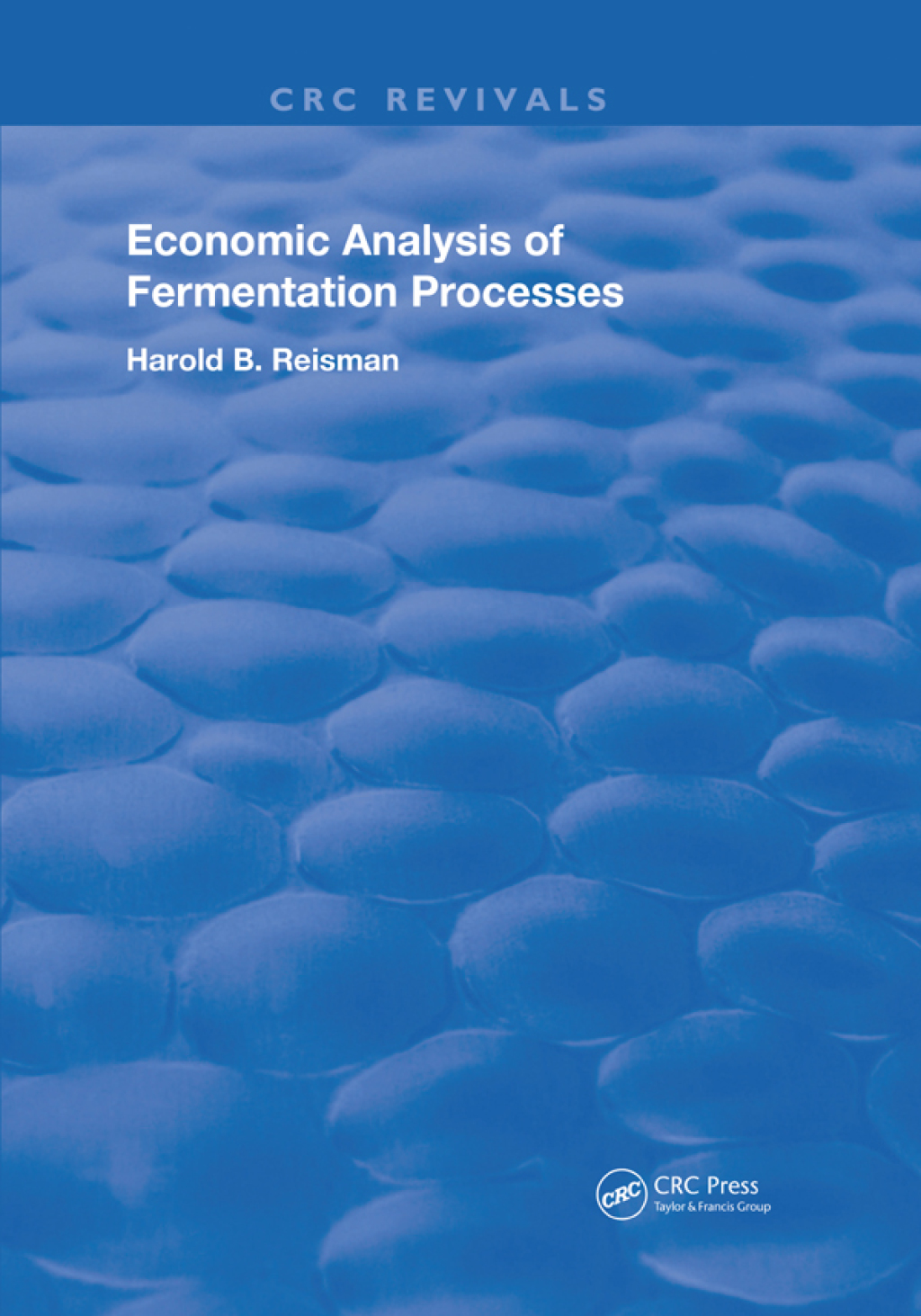 Economic Analysis of Fermentation Processes 1st Edition