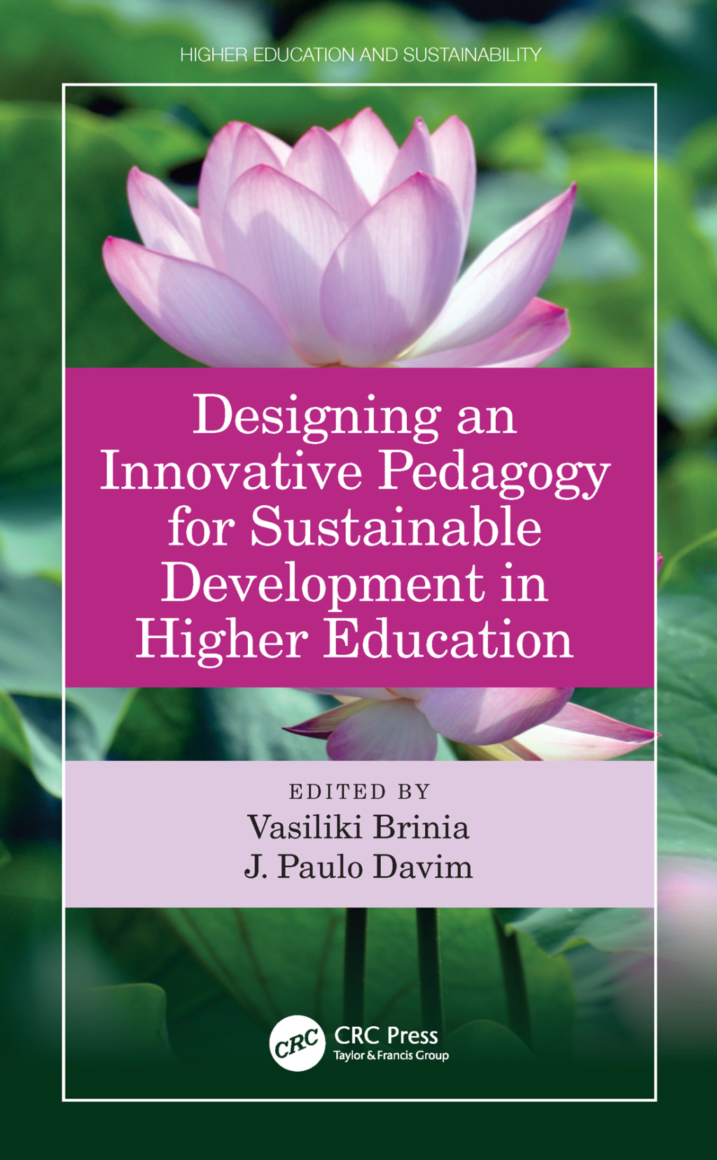 Designing an Innovative Pedagogy for Sustainable Development in Higher Education 1st Edition