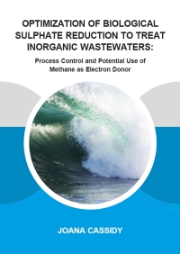 صورة الغلاف: Optimization of Biological Sulphate Reduction to Treat Inorganic Wastewaters 1st edition 9781138373440