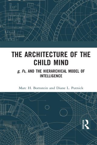 Imagen de portada: The Architecture of the Child Mind 1st edition 9780367135843